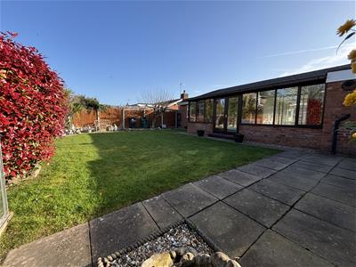 Picture 20